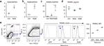 Ly-6A/E (Sca-1) Antibody in Flow Cytometry (Flow)