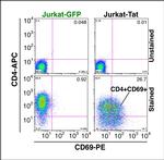 CD4 Antibody in Flow Cytometry (Flow)