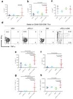 CD45 Antibody in Flow Cytometry (Flow)