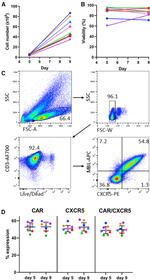 CD185 (CXCR5) Antibody in Flow Cytometry (Flow)