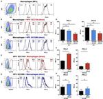 CD274 (PD-L1, B7-H1) Antibody in Flow Cytometry (Flow)