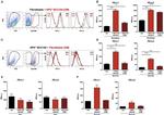 CD274 (PD-L1, B7-H1) Antibody in Flow Cytometry (Flow)