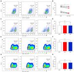 IFN gamma Antibody in Flow Cytometry (Flow)