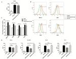 CD86 (B7-2) Antibody in Flow Cytometry (Flow)