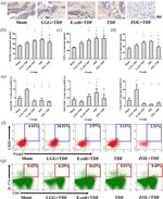 IL-17A Antibody in Flow Cytometry (Flow)