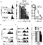 CD28 Antibody in T-Cell Activation (TCA)