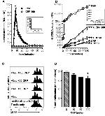 CD28 Antibody in T-Cell Activation (TCA)