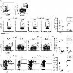 CD44 Antibody in Flow Cytometry (Flow)