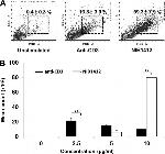 CD3 Antibody in T-Cell Activation (TCA)