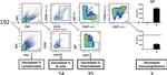 CD3 Antibody in Flow Cytometry (Flow)