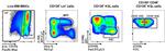 Ly-6A/E (Sca-1) Antibody in Flow Cytometry (Flow)