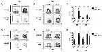 Ly-6A/E (Sca-1) Antibody in Flow Cytometry (Flow)