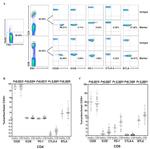 CD28 Antibody in Flow Cytometry (Flow)