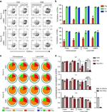 IFN gamma Antibody in Flow Cytometry (Flow)