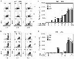 CD4 Antibody in Flow Cytometry (Flow)