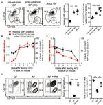 MHC Class II (I-A/I-E) Antibody in Flow Cytometry (Flow)