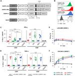 CD8a Antibody in Flow Cytometry (Flow)