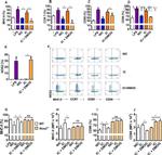 iNOS Antibody in Flow Cytometry (Flow)