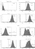 CD73 Antibody in Flow Cytometry (Flow)