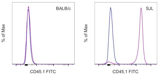 CD45.1 Antibody in Flow Cytometry (Flow)