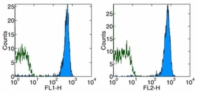 TER-119 Antibody in Flow Cytometry (Flow)