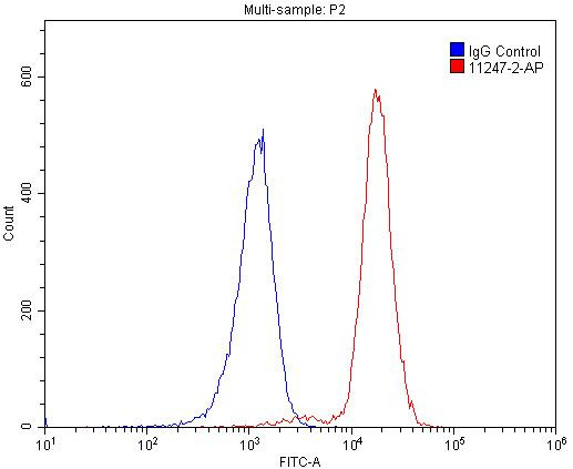 MUM1/IRF4 Antibody in Flow Cytometry (Flow)