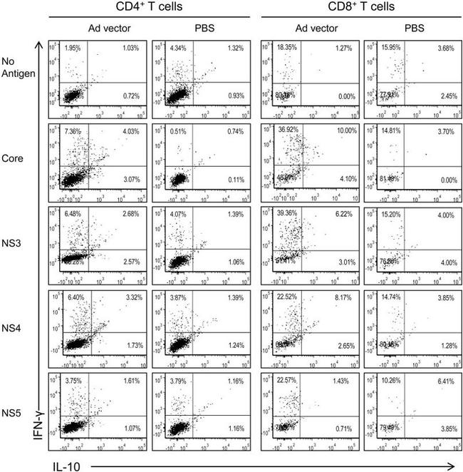 IFN gamma Antibody in Flow Cytometry (Flow)