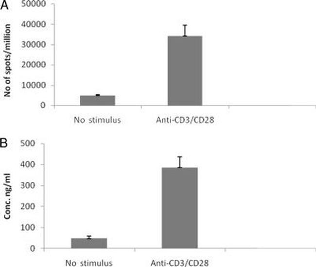 IL-17A Antibody in ELISA (ELISA)