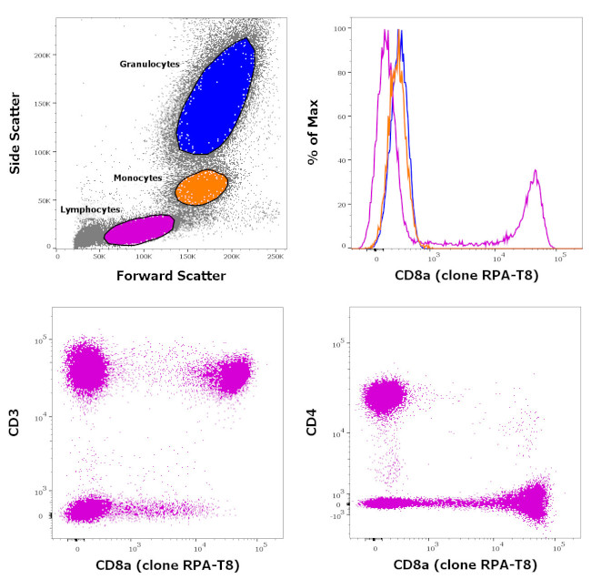 CD8a Antibody