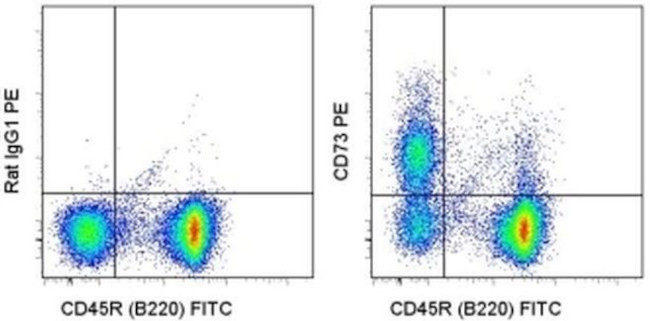 CD73 Antibody in Flow Cytometry (Flow)