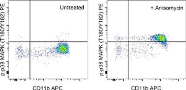 Phospho-p38 MAPK (Thr180, Tyr182) Antibody in Flow Cytometry (Flow)