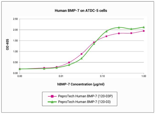 Human BMP-7 Protein in Functional Assay (Functional)