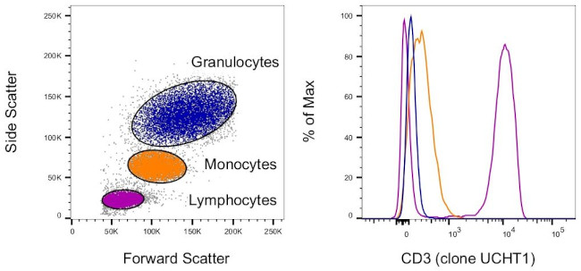 CD3 Antibody