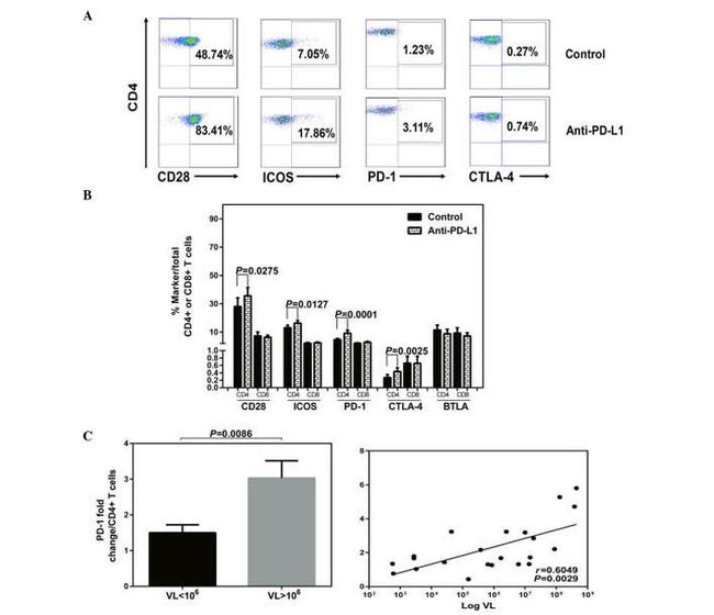 CD28 Antibody in Flow Cytometry (Flow)