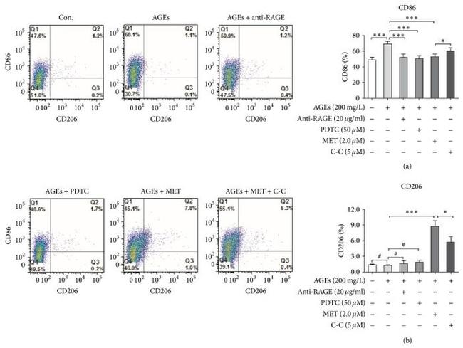 CD86 (B7-2) Antibody in Flow Cytometry (Flow)