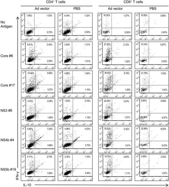 IFN gamma Antibody in Flow Cytometry (Flow)