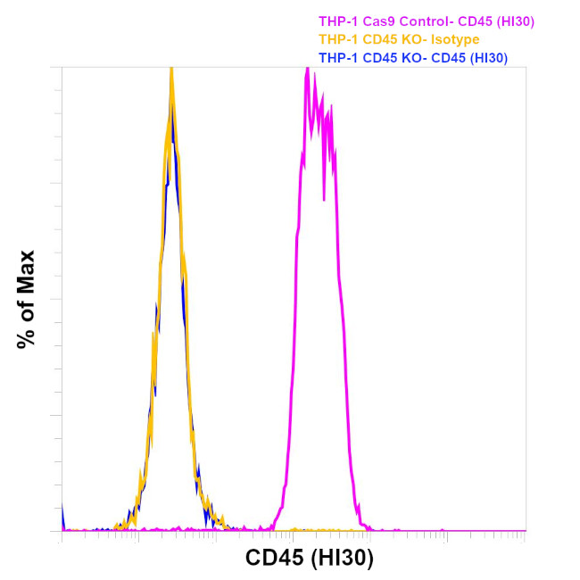 CD45 Antibody