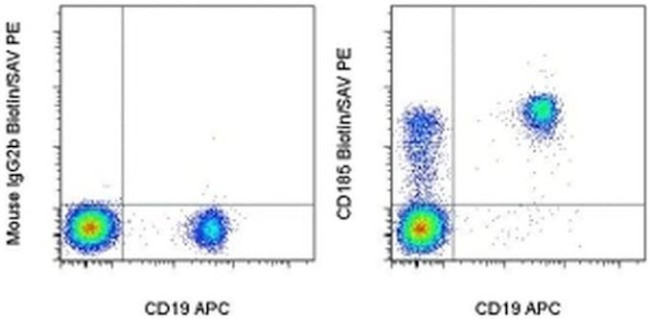 CD185 (CXCR5) Antibody in Flow Cytometry (Flow)