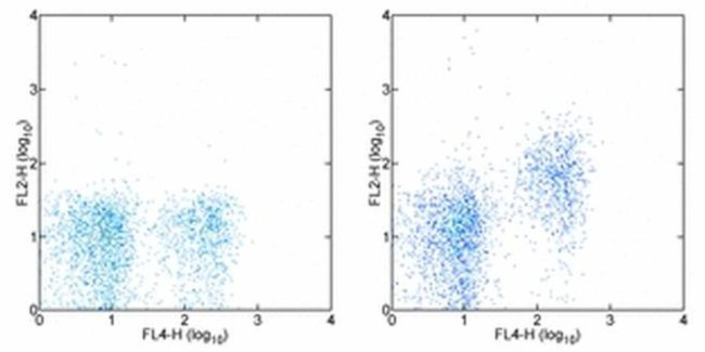 CD73 Antibody in Flow Cytometry (Flow)