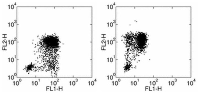 IL-1 beta Antibody in Flow Cytometry (Flow)