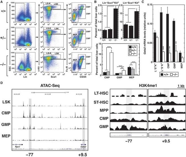 Ly-6A/E (Sca-1) Antibody in Flow Cytometry (Flow)