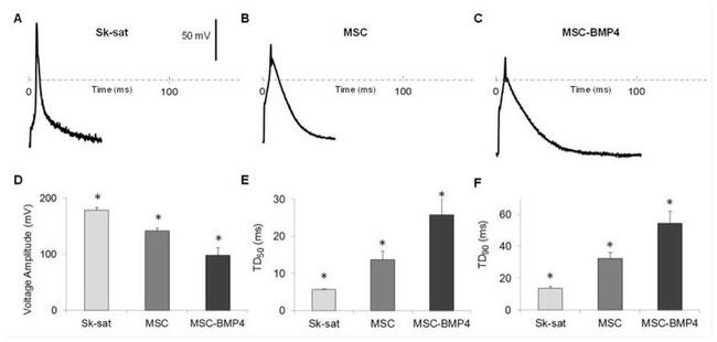 Ly-6A/E (Sca-1) Antibody in Flow Cytometry (Flow)