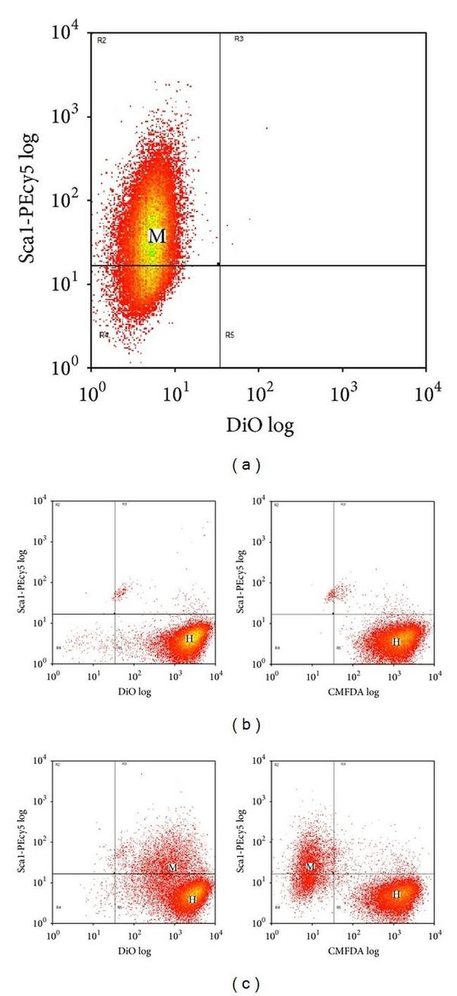 Ly-6A/E (Sca-1) Antibody in Flow Cytometry (Flow)