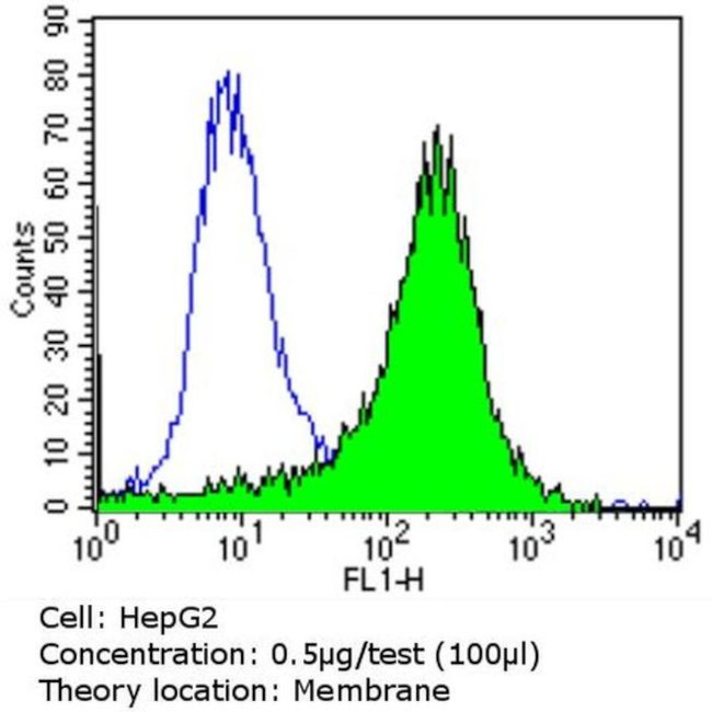 Rabbit IgG (H+L) Secondary Antibody in Flow Cytometry (Flow)