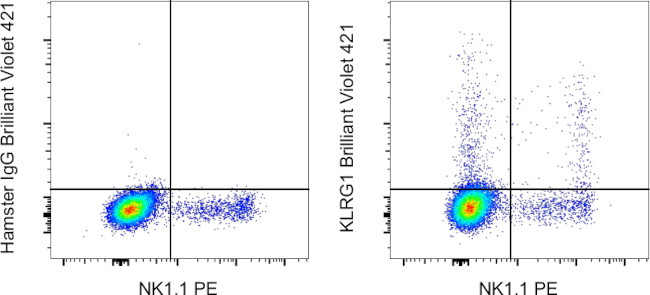 KLRG1 Antibody in Flow Cytometry (Flow)