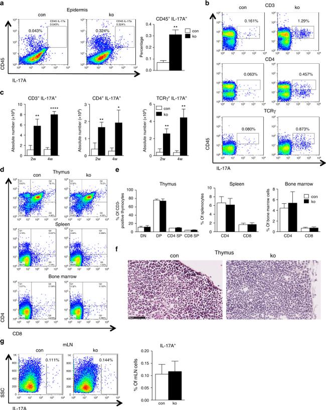 IL-17A Antibody in Flow Cytometry (Flow)