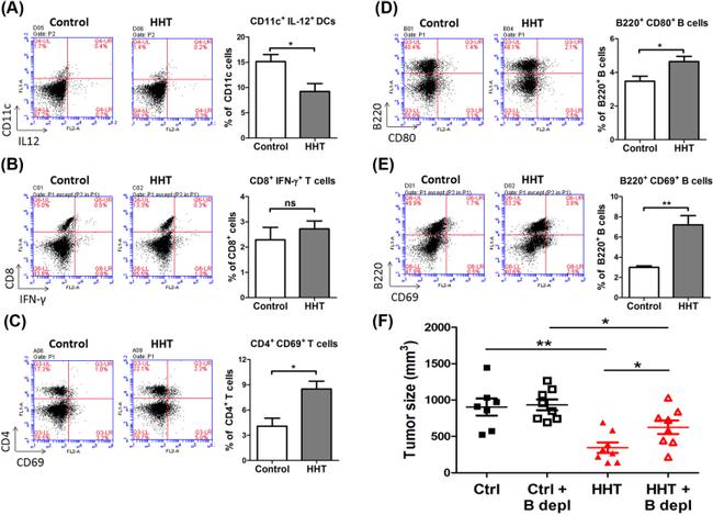 CD69 Antibody