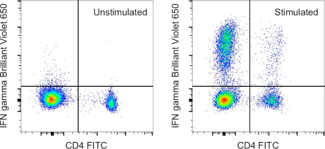 IFN gamma Antibody in Flow Cytometry (Flow)