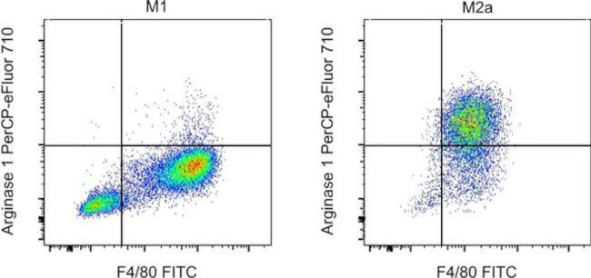 Arginase 1 Antibody in Flow Cytometry (Flow)