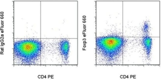 FOXP3 Antibody in Flow Cytometry (Flow)